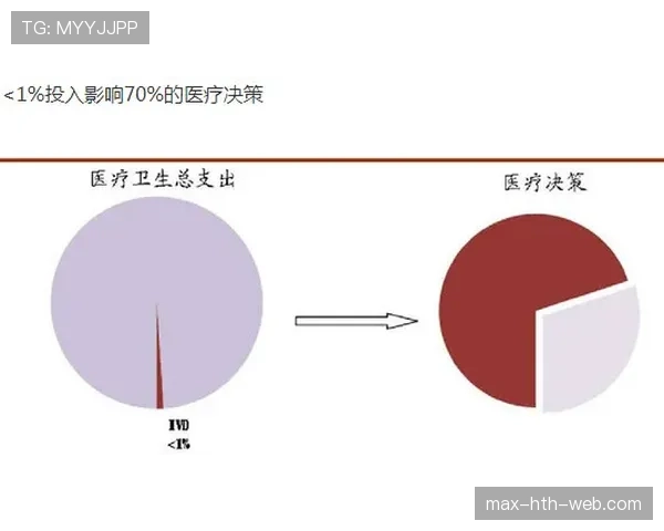 篮球规则中身体接触容忍度的判断标准与具体应用